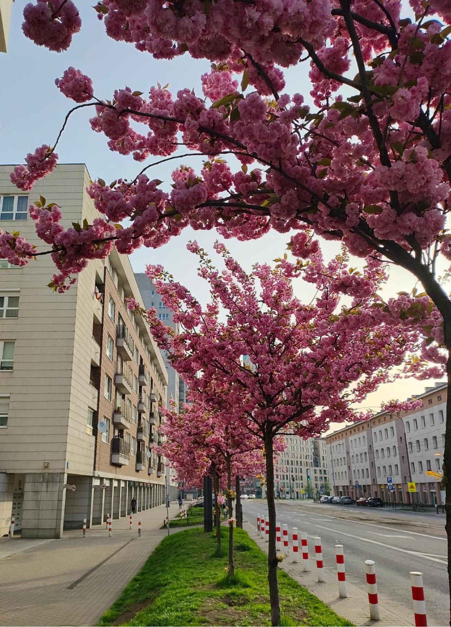 Totutotam Apartment Varşovia Exterior foto